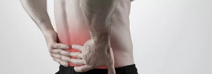 Chiropractic Zoeterwoude-Dorp EN Lower Back Pain